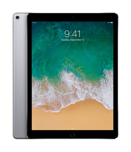 [T0010010570] iPad Pro 12.9 (2020) 4th Gen Wi-Fi Only 256GB Space Gray A2229 A Grade above 80% Battery Health(Refurbished)